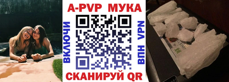 omg зеркало это телеграм Alfa_PVP СК Глазов