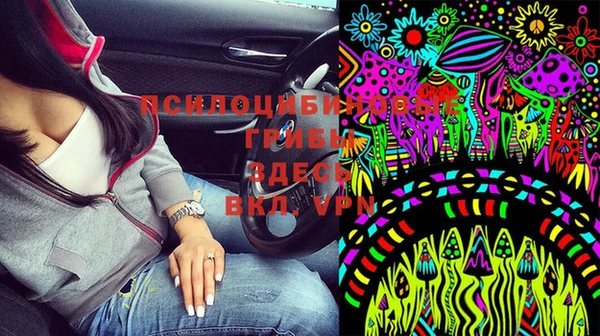 ешки Верея