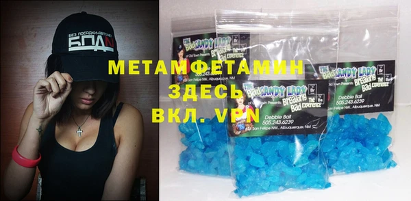 индика Волосово