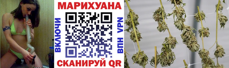 мориарти официальный сайт  Глазов  Канабис VHQ  как найти  